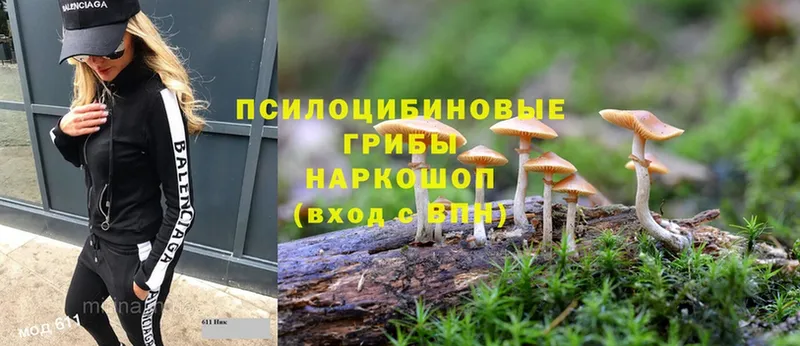 Псилоцибиновые грибы мухоморы  хочу   Поронайск 